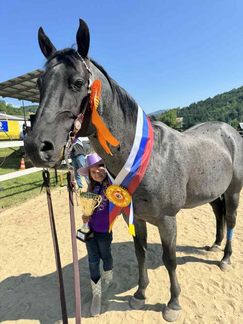 c77d7631-08f4-4b54-a868-8cc5d4eaddf6